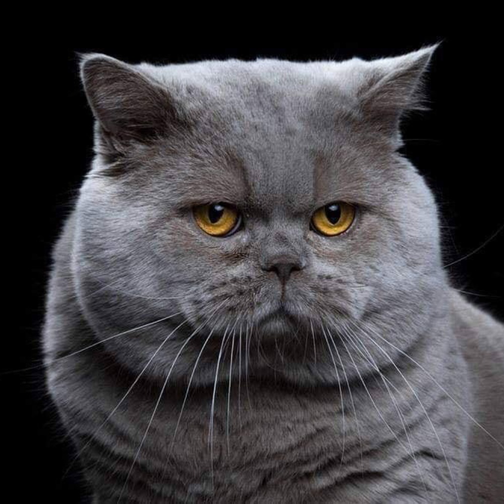 Meet your Posher, Erick